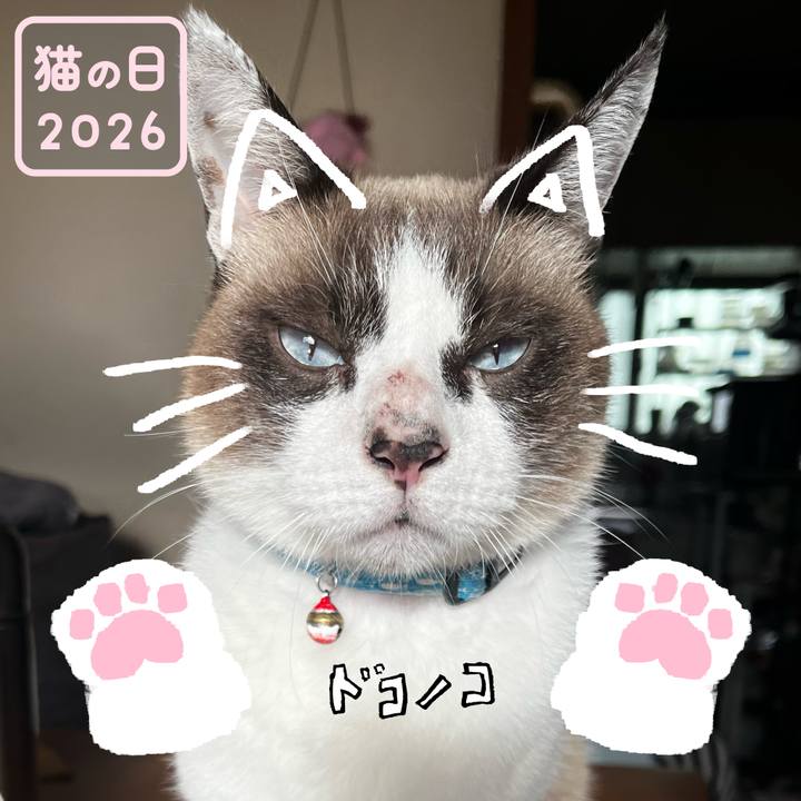 Fe02e16a 01b8 4dcd ba84 467e72388bd2 1771722925163