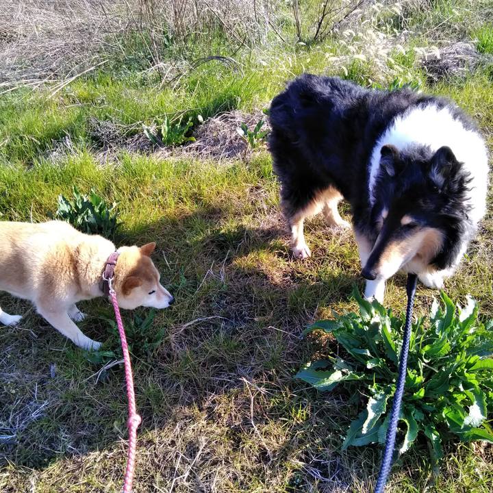 Fe032b09 1971 45d4 ba5f 921de35c6235 1551871640831