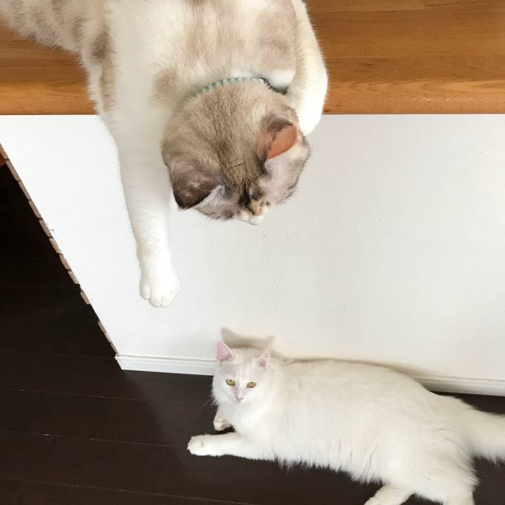 Fe032cc1 c534 4fa5 a43b a83970380fce 1533078902379