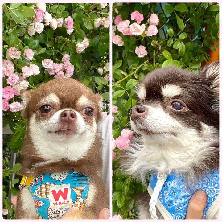 Fe034623 327f 477c b6aa e3a5343dd7a2 1683861948254