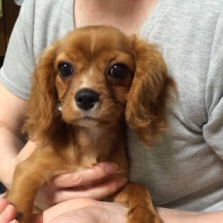 Fe0389b8 dc72 44f0 92c0 32fd9b84e963 1530022899553