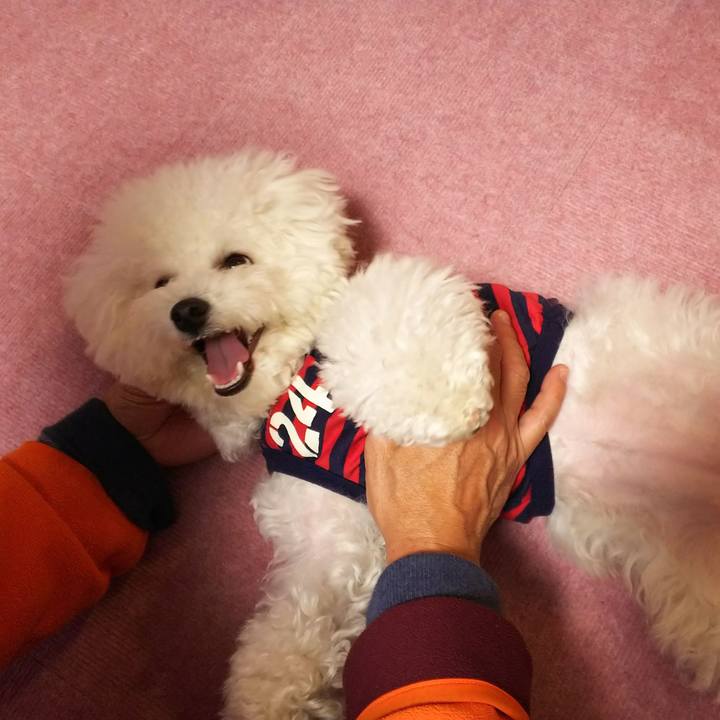 Fe03cddd 4dd1 45b8 a07e d9beb1669a12 1512123359184