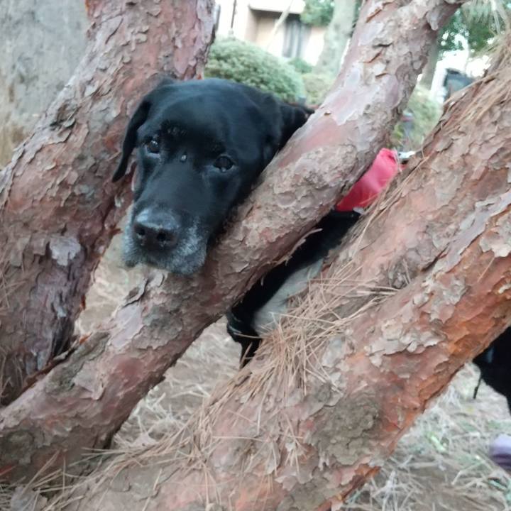 Fe03e469 2388 4192 9825 b7dddb10560e 1708128200942