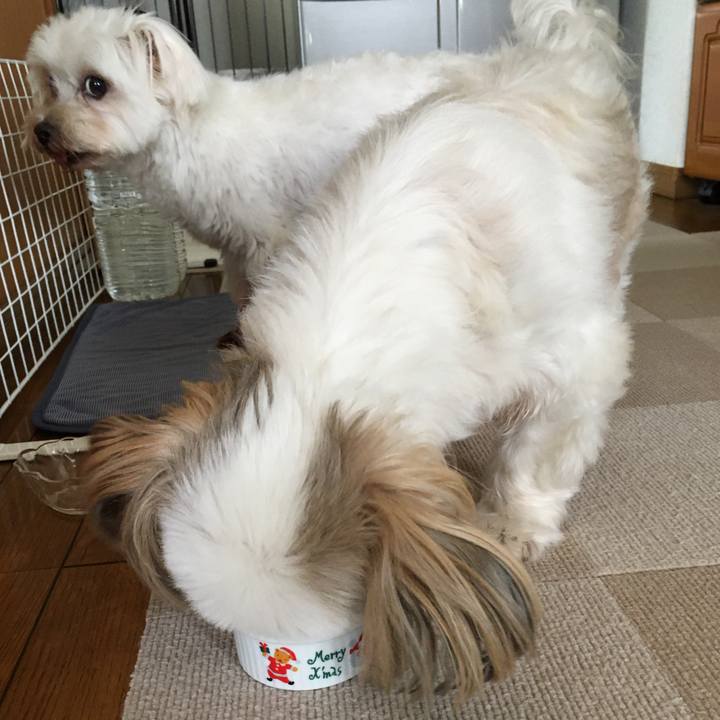 Fe045907 7543 4ad2 8226 08fde879421f 1625631188845