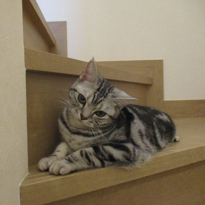 Fe046a91 f71a 4e51 8cf2 8a52e903963c 1554068412855