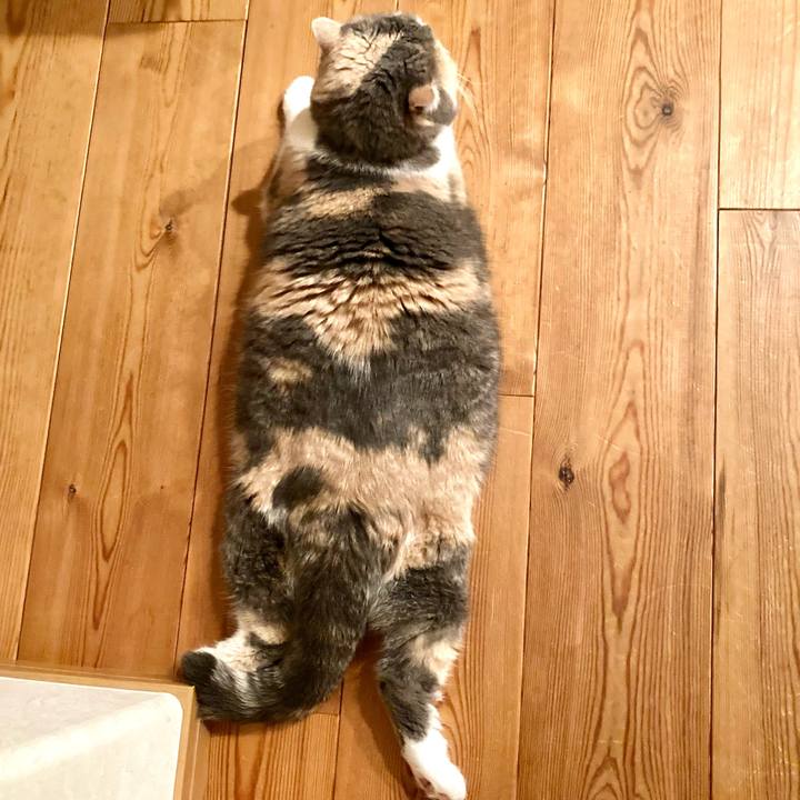 Fe049906 e072 43bd b729 be4adedc3617 1613131374498