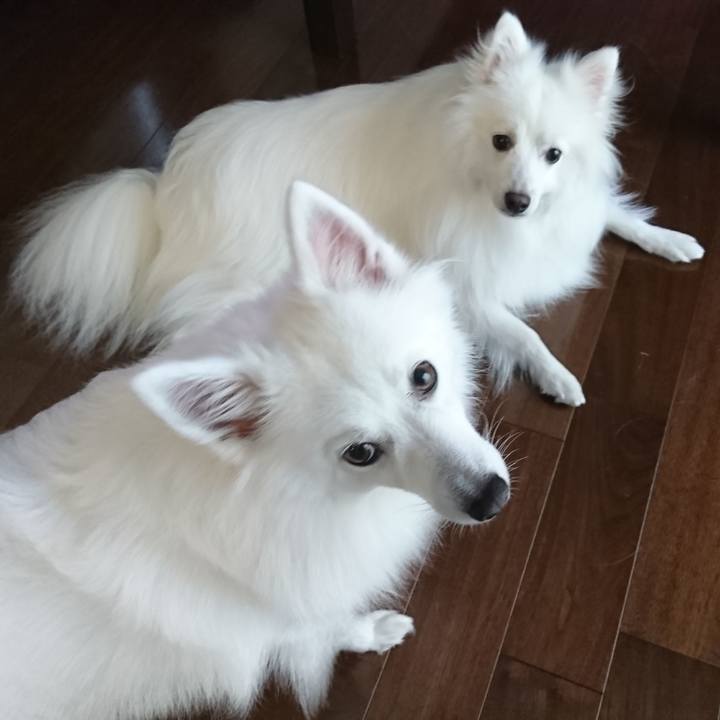 Fe04a9b6 c92c 4b6a 847f 9b1ce985804b 1603520306576