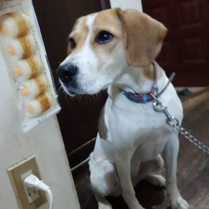 Fe04b772 9992 4f5b 9b52 dccdccdc965e 1606652546712