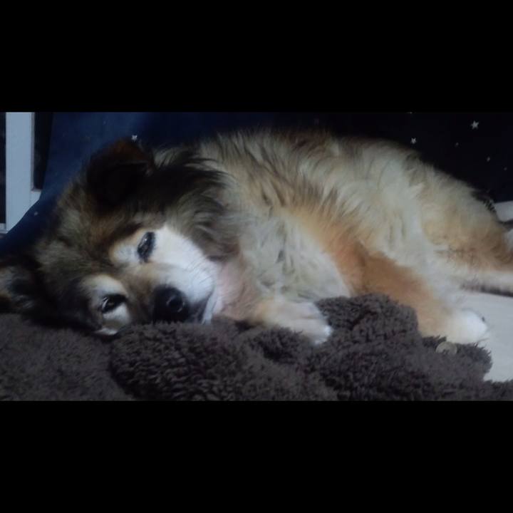 Fe04cb04 f3ca 4f86 833b 709c9bcc5fae 1551728193366