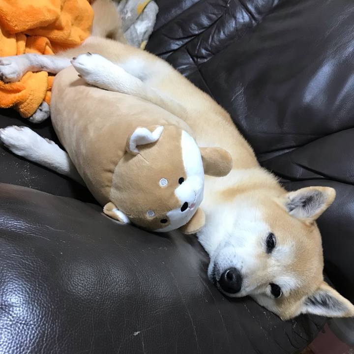 Fe050de0 ff29 4327 9aa6 c7f7f03b47b5 1547206752306