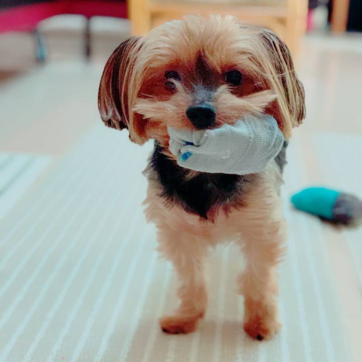 Fe055387 538b 4fbe aebf 69c298bad9bd 1587766884274