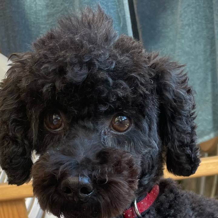 Fe0554a3 d1ea 4d6b 8bb8 52f1412124c3 1635569157796