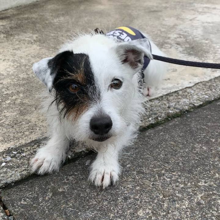 Fe05a154 f54b 4d2f a480 218b9e869c6e 1652746295738