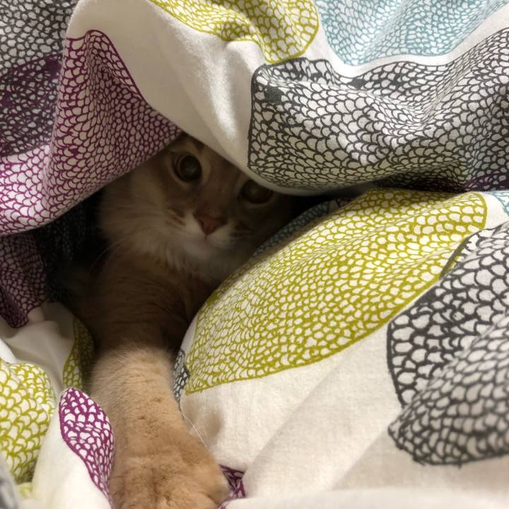 Fe05a262 67e7 4de4 97bf bddb2fd9a7e9 1571963961460