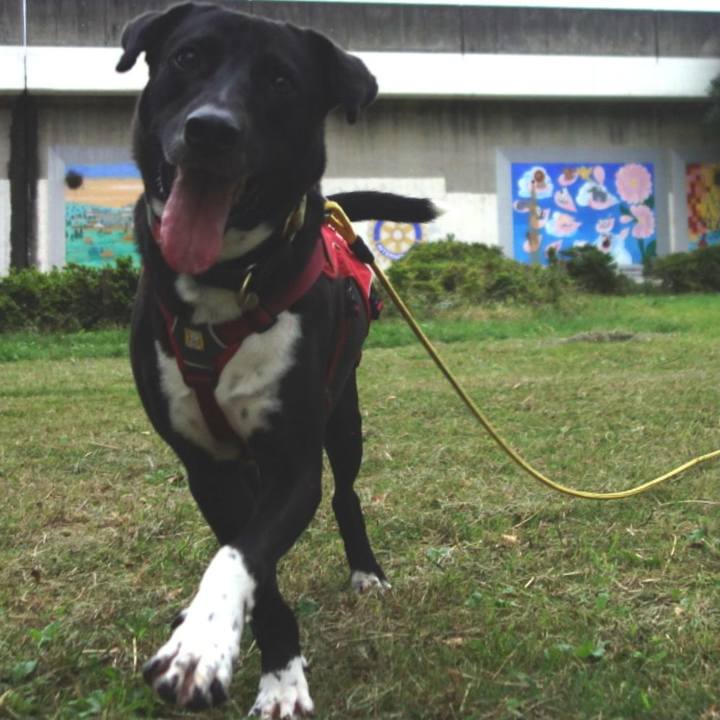 Fe05aa31 0963 4463 aed8 9e3a737fc022 1602719154732