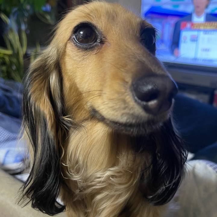 Fe05c440 1aa6 4b52 bb09 9638a88f19aa 1705730838368