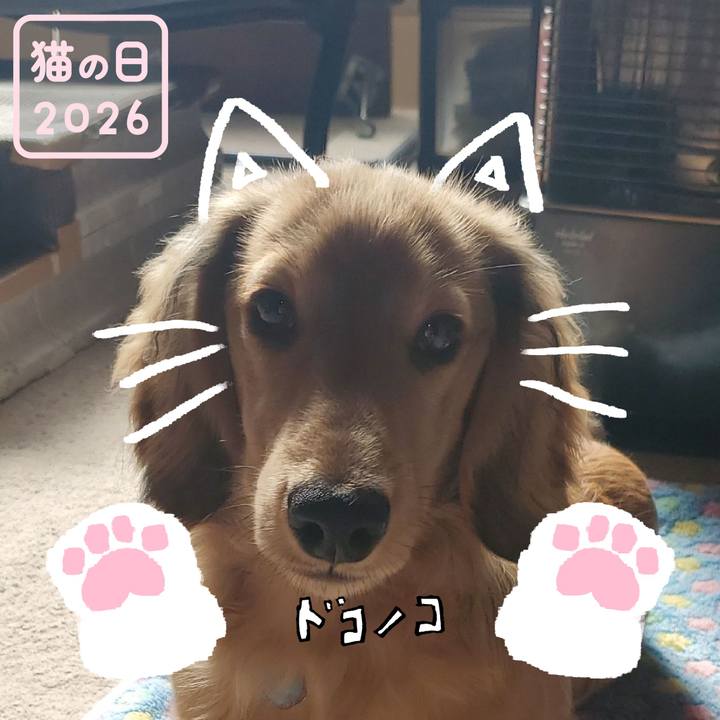 Fe05d5de c0a7 47a5 88d0 80064befb505 1771805456547