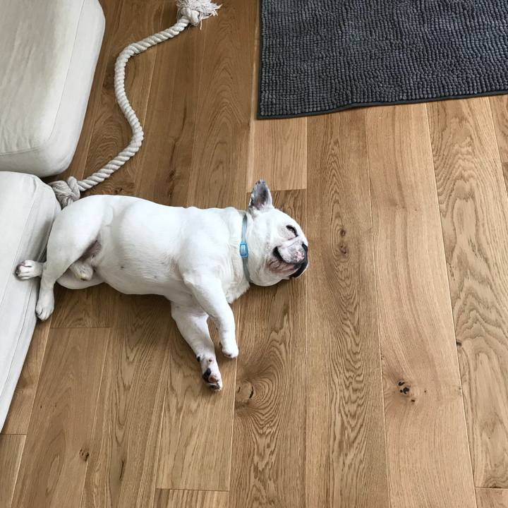 Fe05ea51 cece 40af 85a8 6840d7f891bb 1567138061488