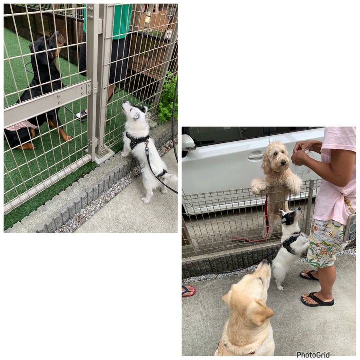 Fe05fa08 e696 44f1 b495 2647b6dd40f5 1720654330225