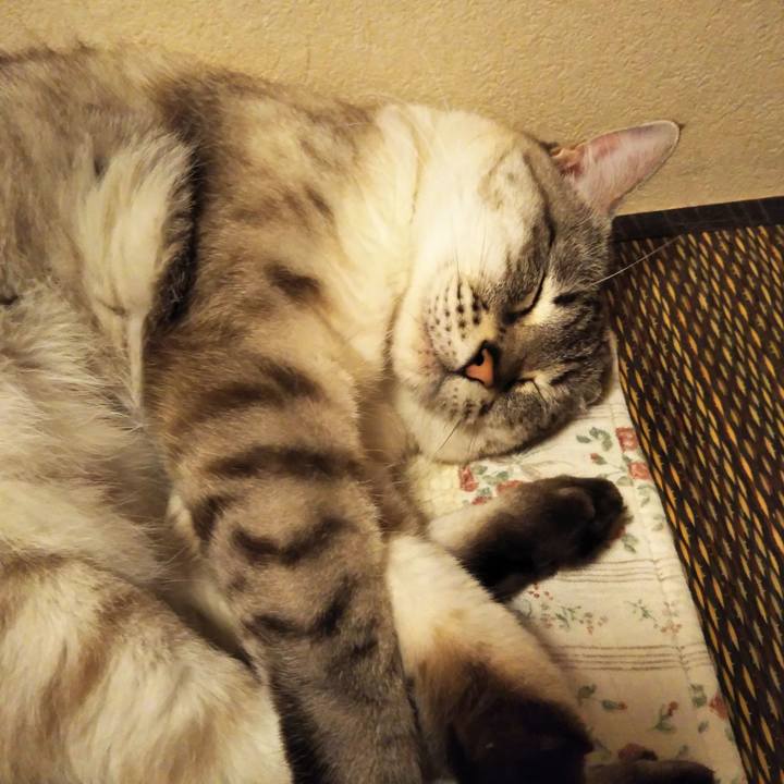 Fe0691e2 3854 4bd1 a7ee 25a9777845e4 1585927828164