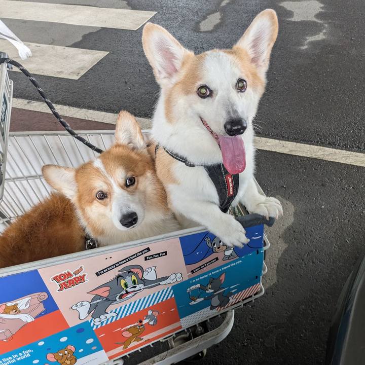 Fe073bb7 165b 4390 928b 2a758b080616 1760604869441