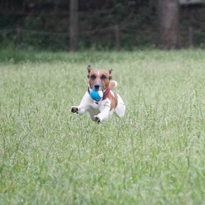 Fe0761ca a521 46a4 819e a0f5ab1dbce2 1537830083093