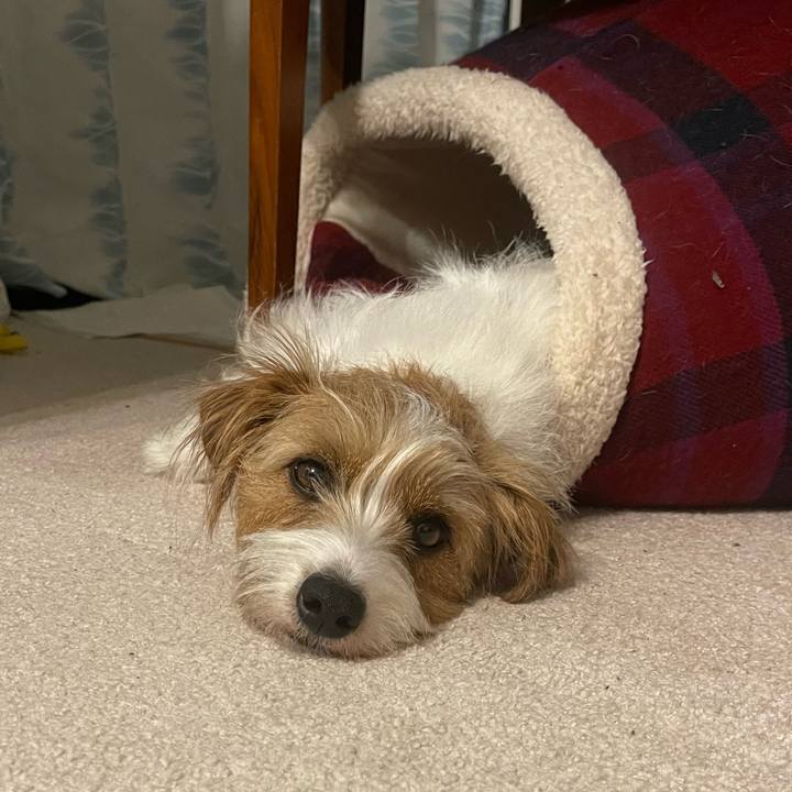 Fe07668d 7e2a 4bda 8ed1 3520a52dcacb 1773579990596