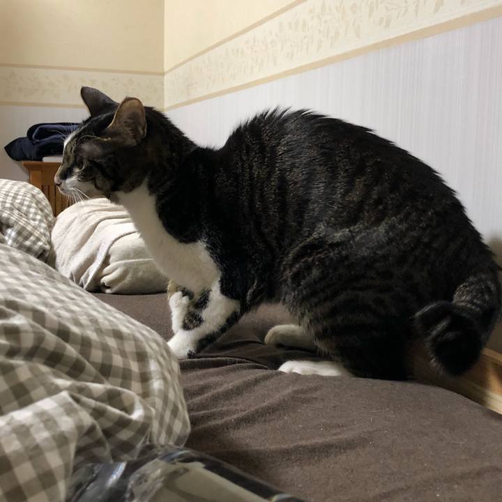 Fe076826 81c0 48db a553 61200665b2ba 1515919926129