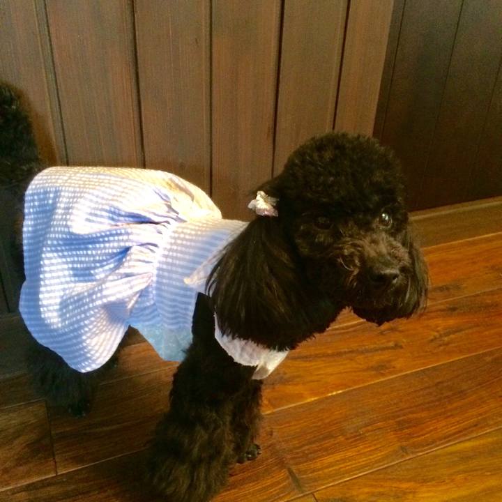 Fe076982 aff4 46d8 8b5a 3faf5be4fe22 1523671658867