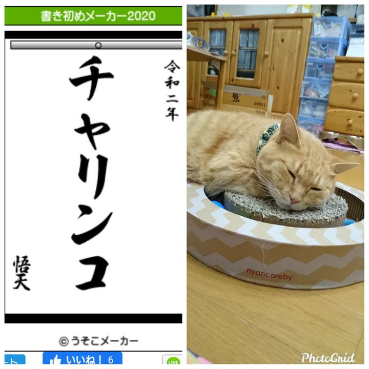 Fe076d8f 3fb2 44bf ba3f 2f194d156991 1577928097168