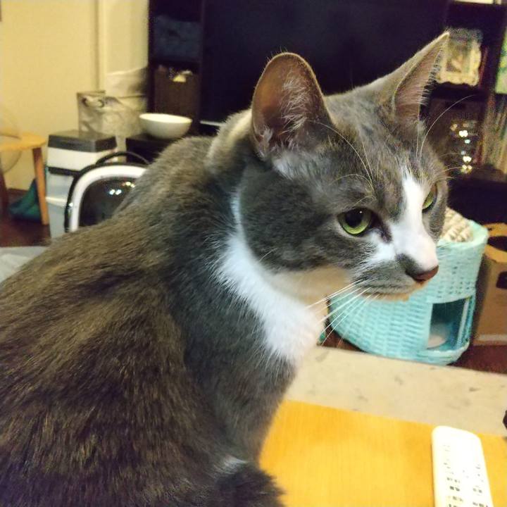 Fe07e641 252c 4997 8cac 0a74da1480d1 1643636494102