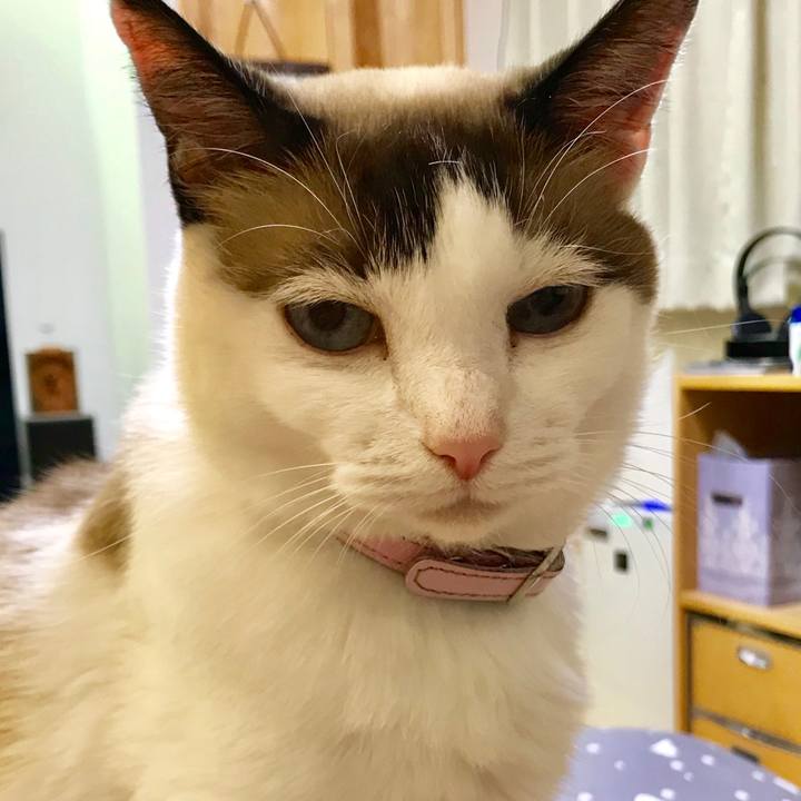 Fe082e28 5920 4745 87bf 6b06d6652d44 1537077995021