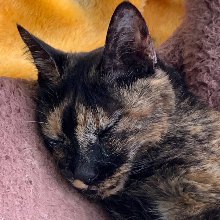 Fe087415 8b08 46ee acc3 5f37e1f6ae04 1675746596135