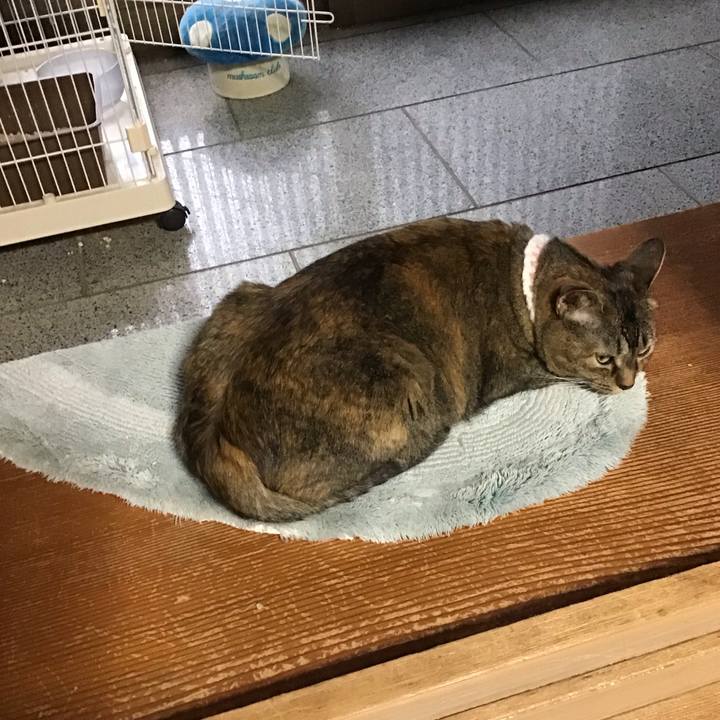 Fe08b995 ab62 4546 bd77 d6192e5033d3 1751540933278