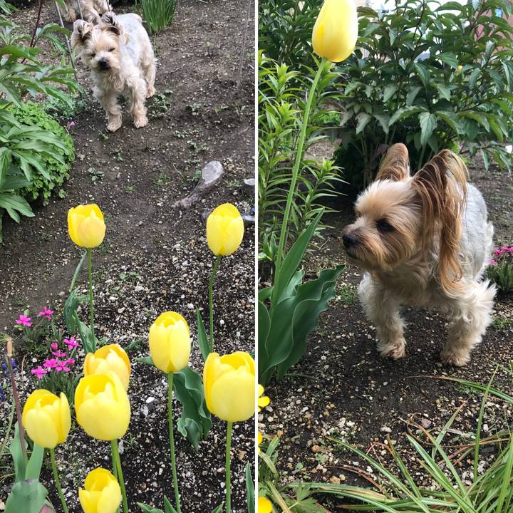 Fe08ed30 bc7d 4890 86f0 a894ac3c9319 1590659797109