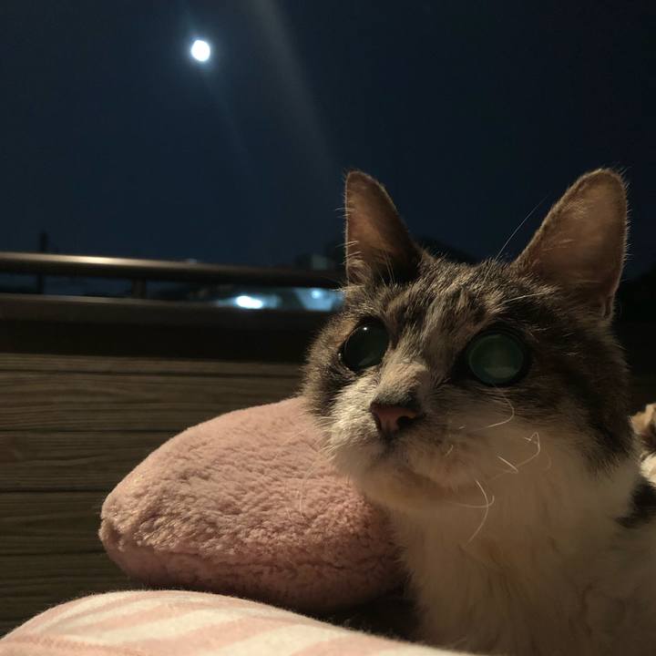 Fe08f589 eaf4 4fc0 8322 543600282a37 1563373826196