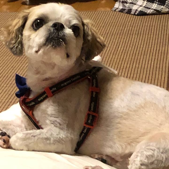 Fe08f5a8 03a2 4ccc 9e4b b879b2f2052c 1591738934820