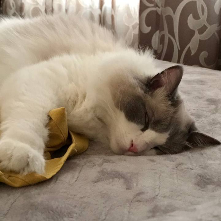 Fe08fe14 295e 4304 9a47 3f319d77a5ee 1591073593885