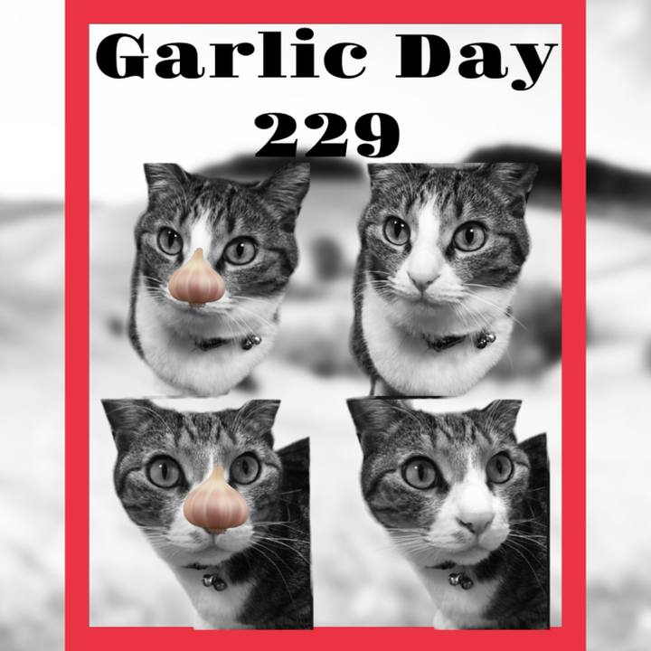 Fe09085e 7785 403c 830f 514a2ecd39d6 1709211731739