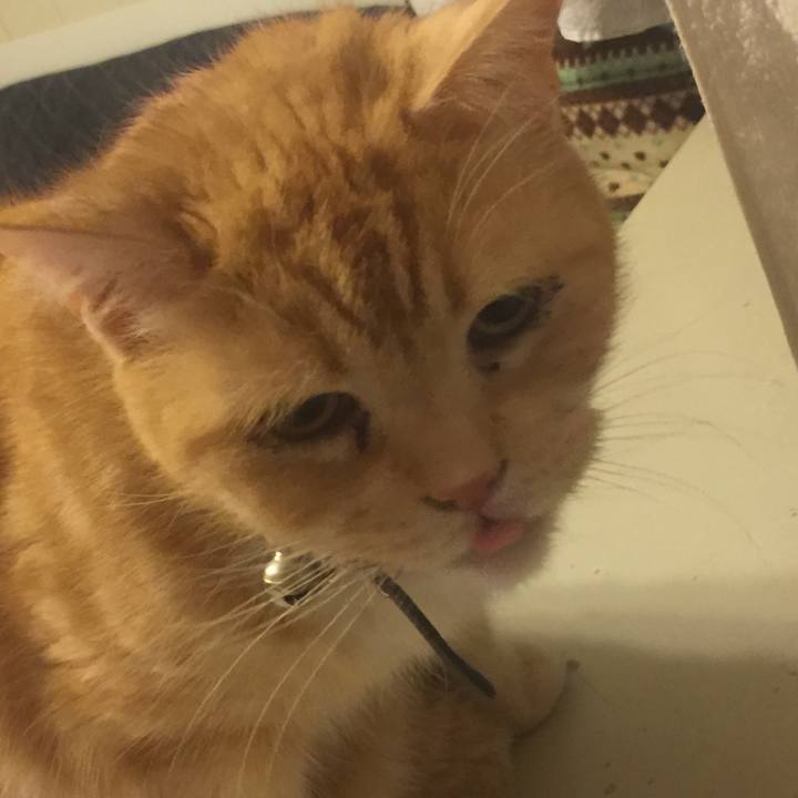 Fe090a49 0072 4120 af77 e890034164f9 1555943107655