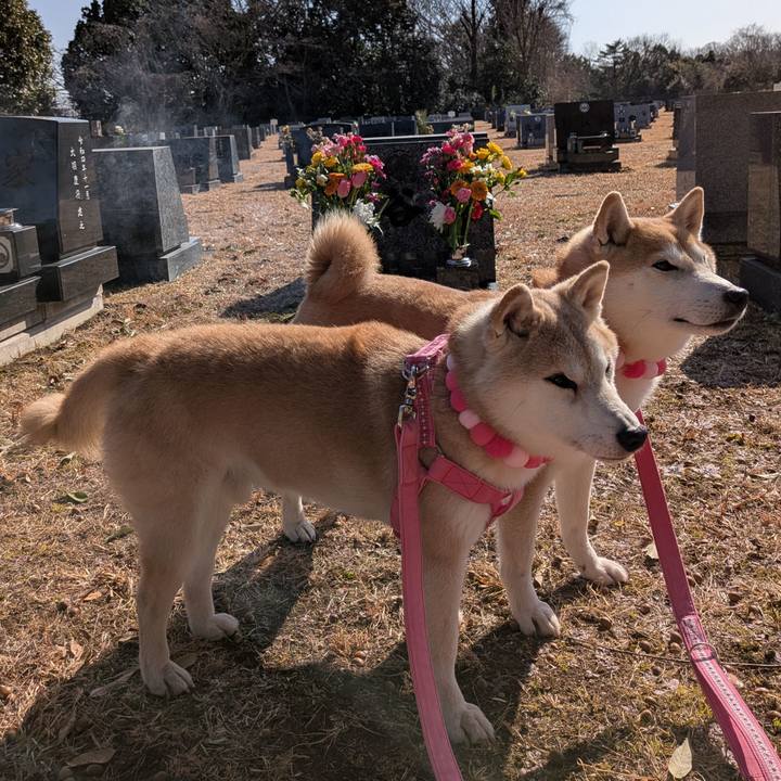 Fe09110b ef25 4424 8188 92160efeceaf 1768736744403