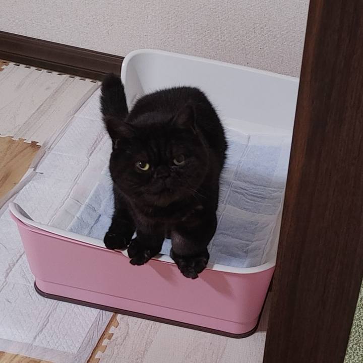 Fe0913a2 19c4 43c3 9630 4f1497a13e73 1637703751922