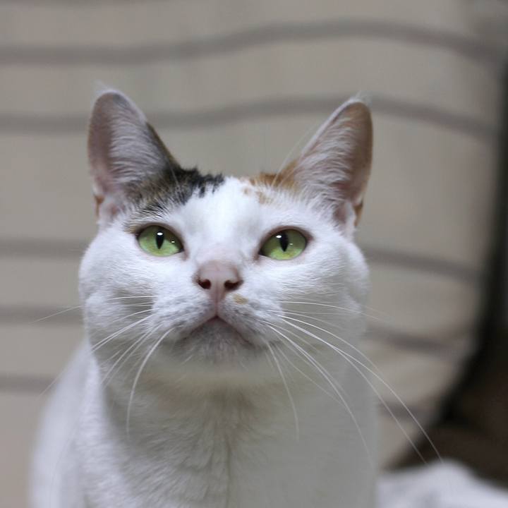 Fe093b4c 4822 43ad 8140 1fb807b6bd55 1668848701185