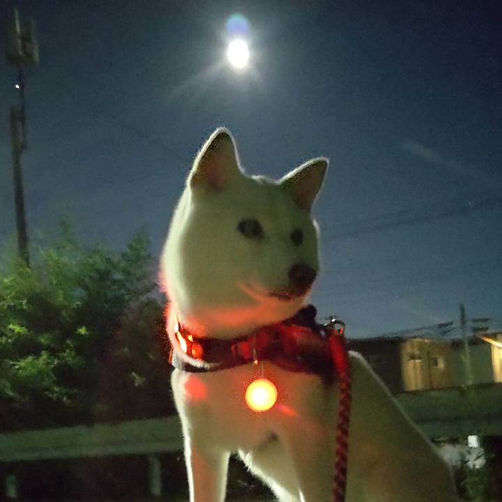 Fe0982f0 4fbc 4ebf 94d9 6ba0575d94bf 1662813057824