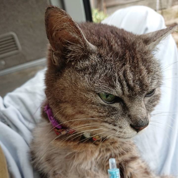 Fe098b29 e8d8 4349 82f8 5e15d2a1e15f 1596058967412