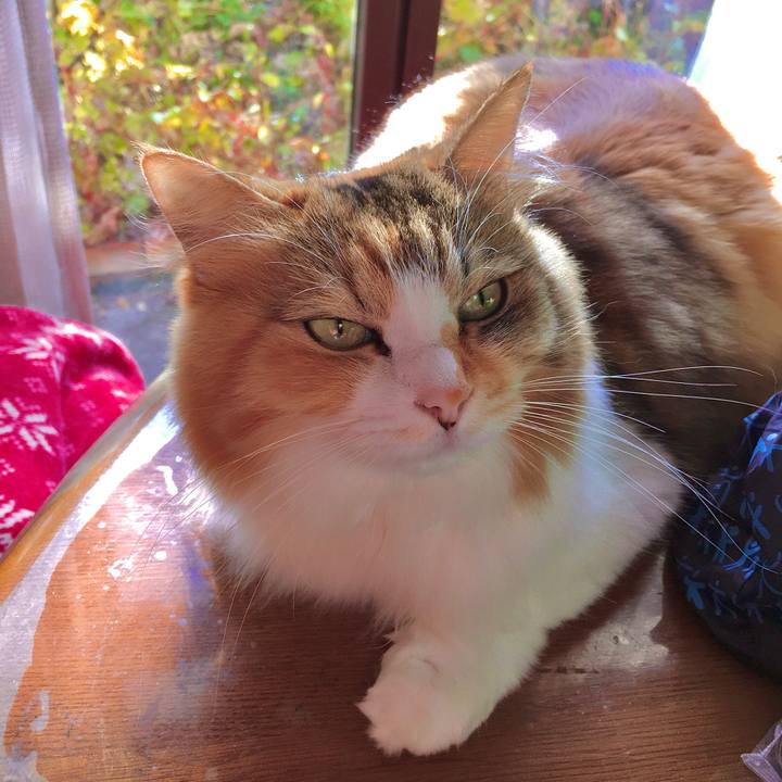 Fe09e493 f2a2 4106 a04d e06e861f6875 1573802405272