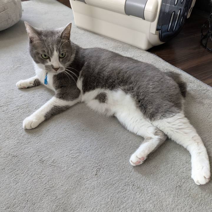 Fe0a0c6a 7594 46fd b889 58edfc0b5621 1757377881611