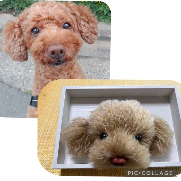 Fe0a3083 1cad 4a49 814f 3150e629747c 1683011277944