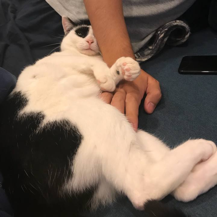 Fe0a3a75 dbb9 4a1e 8e8a 831d43460a5f 1513090301463