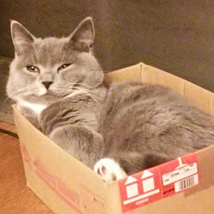 Fe0a56db 79a6 43ee bded d4c305349c1b 1542977475440